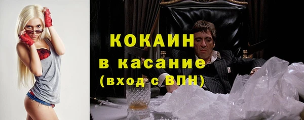 сатива Абинск