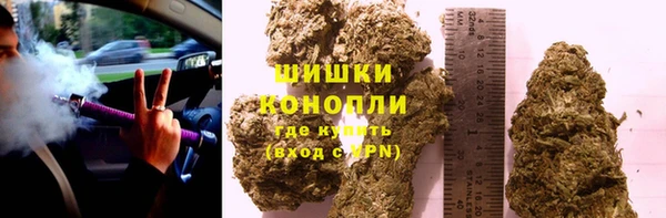 сатива Абинск
