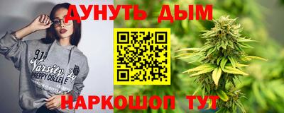 гидра Краснознаменск