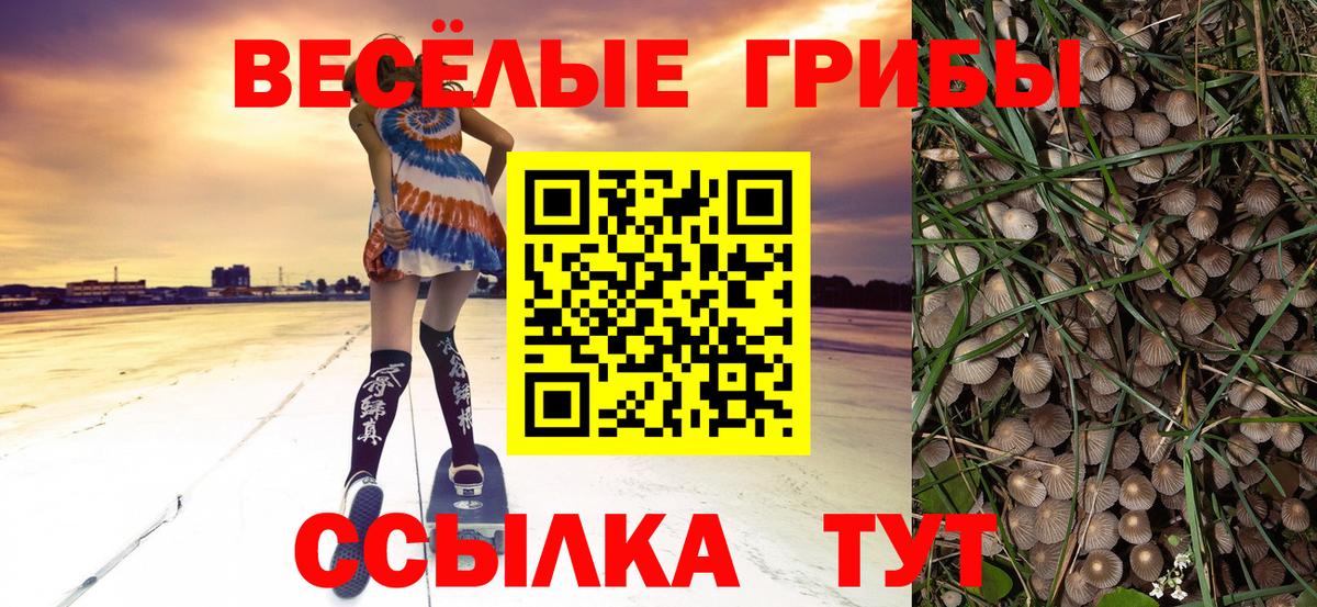Галлюциногенные грибы прущие грибы  цены наркотик  Вход с VPN  Тавда  Галлюциногенные грибы MAGIC MUSHROOMS 