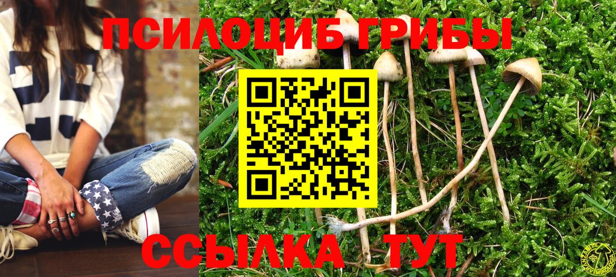 ГАШ Тавда