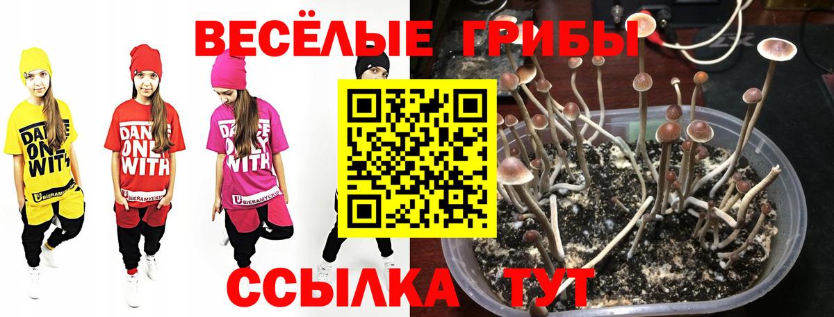 Галлюциногенные грибы Magic Shrooms Тавда